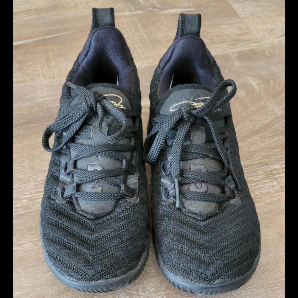 Toddler Lebron 16